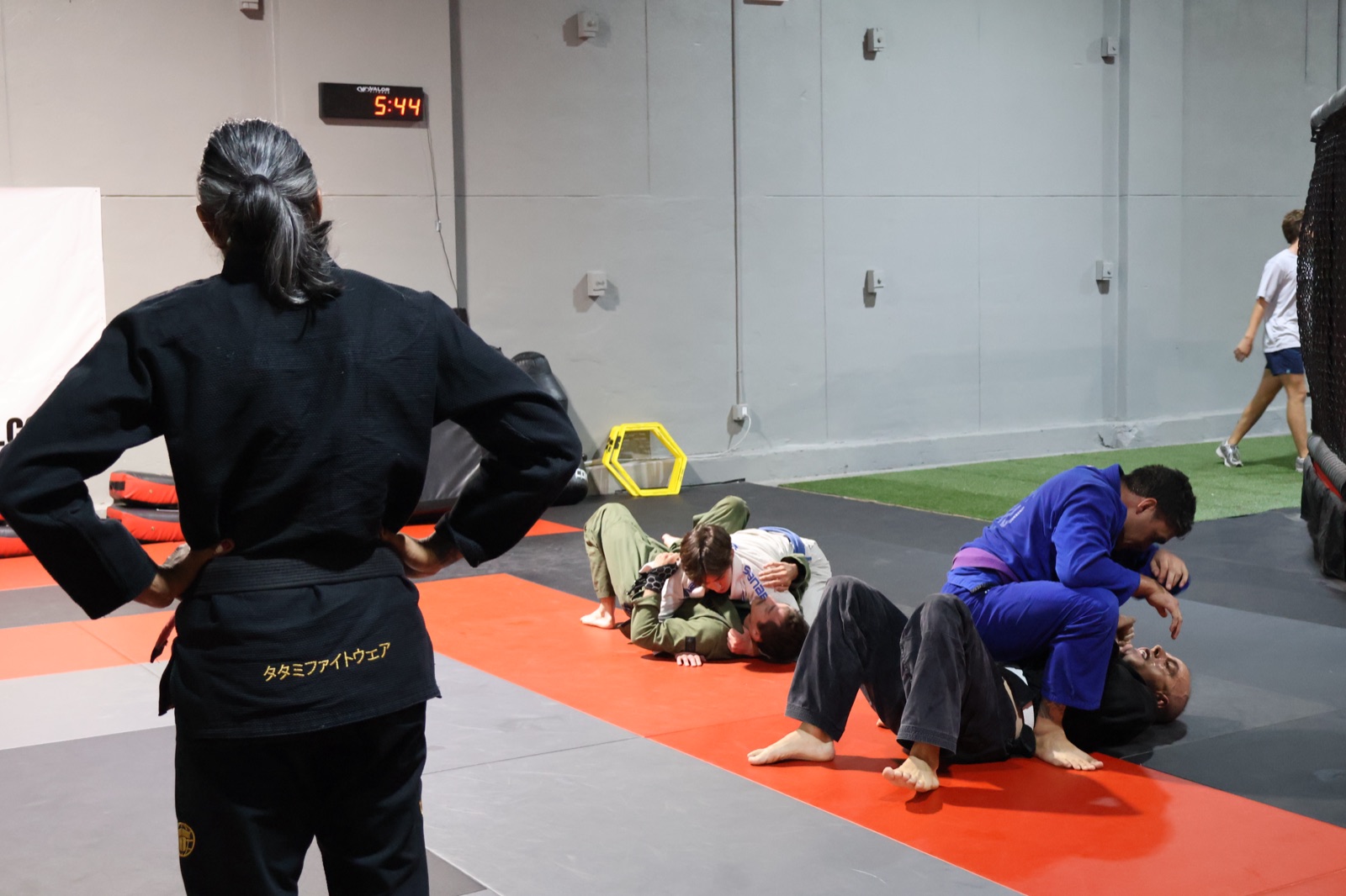 Adult Gi/No-Gi Jiu-Jitsu at South Tampa Jiu-Jitsu