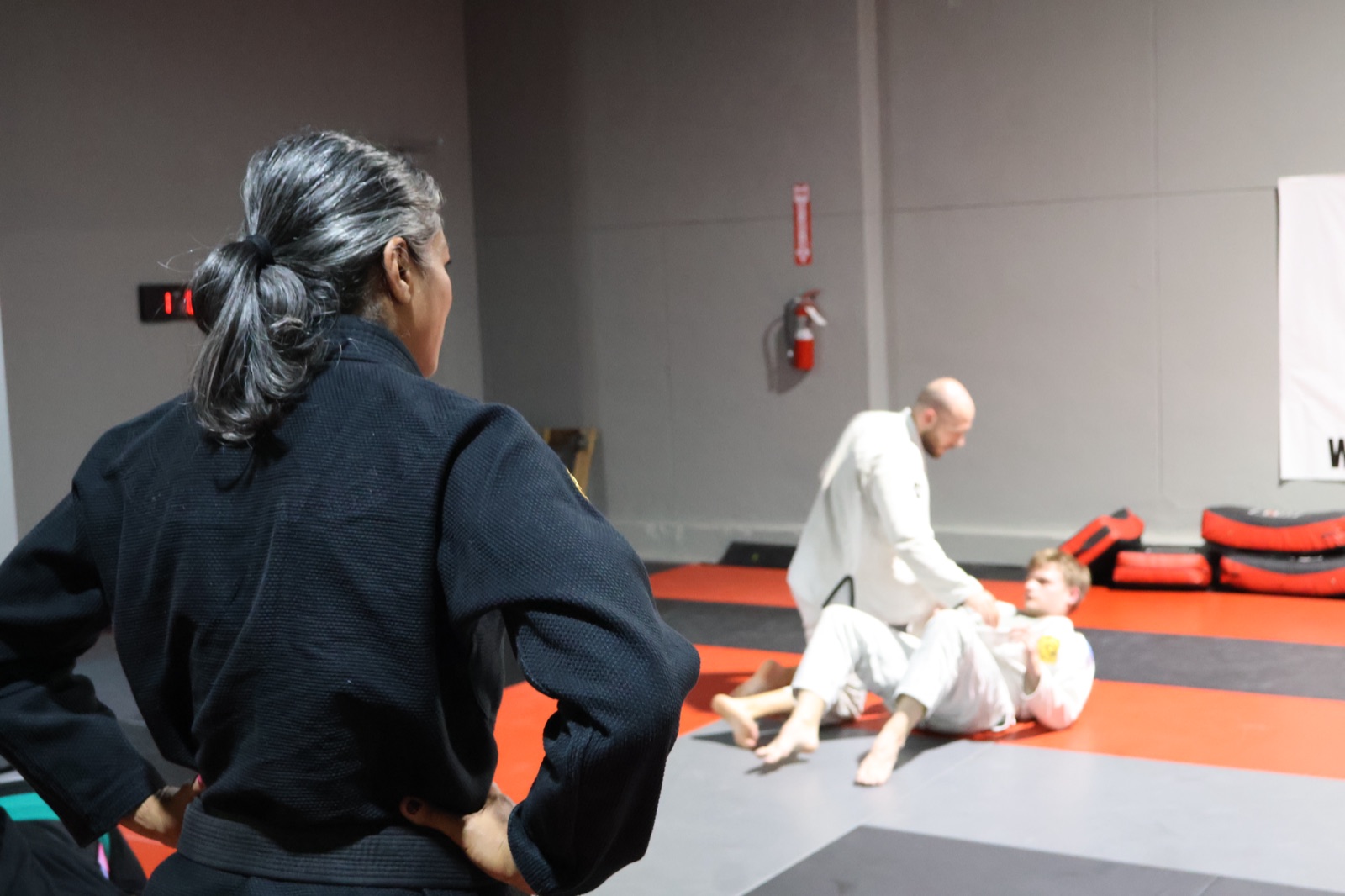 Adult Jiu-Jitsu
